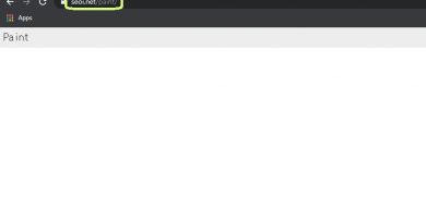 Seoi Net Paint virus