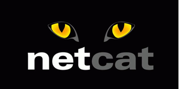 Netcat Dynamic Malware Analysis Tool