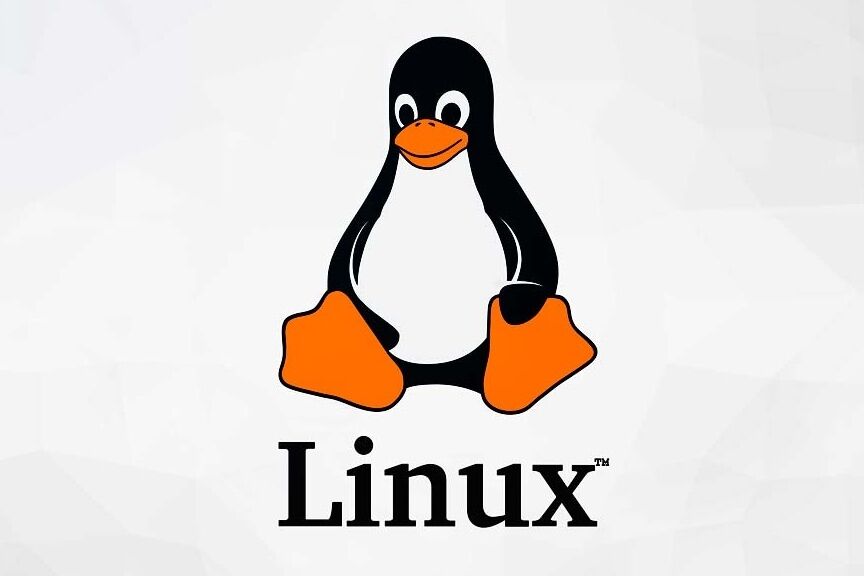 Sin duda, lo mejor sería operar con Linux