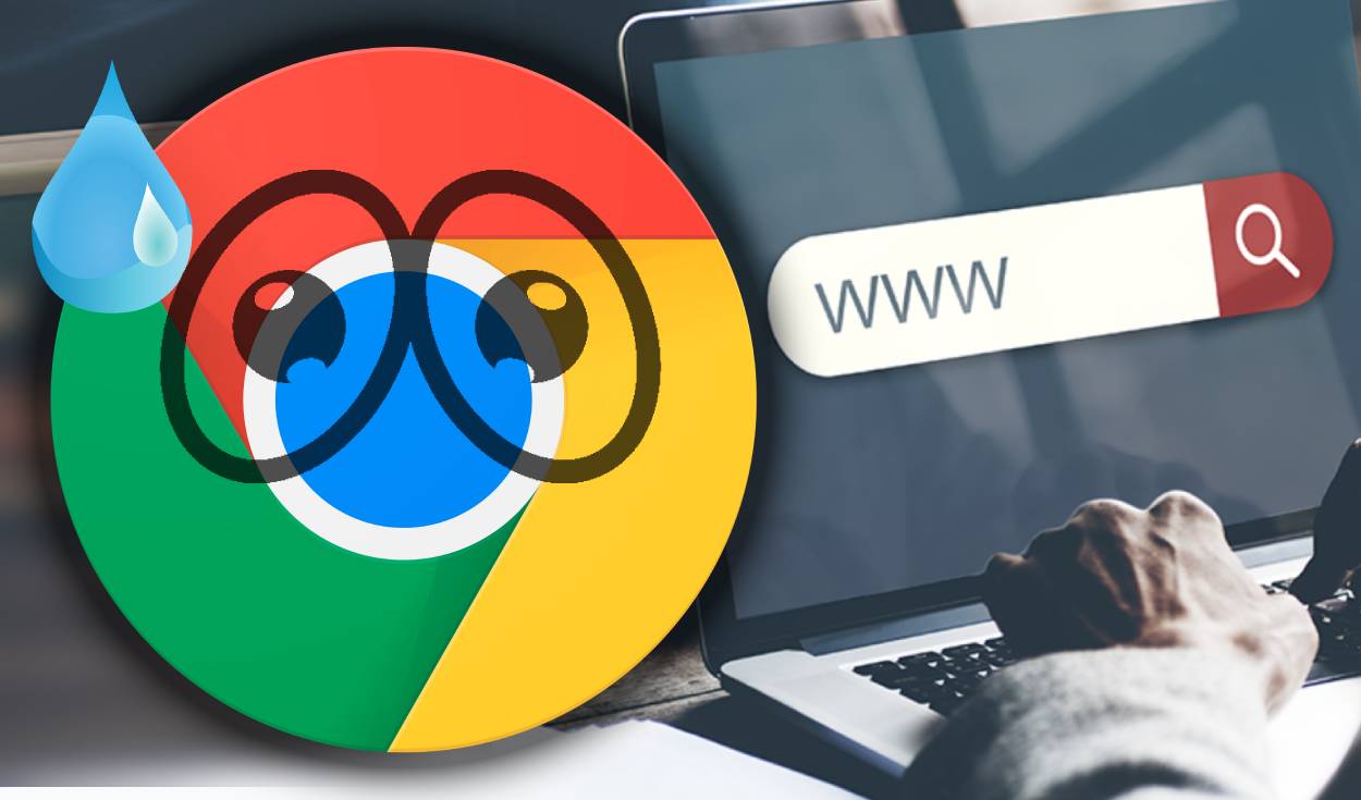 Amplia tu seguridad con los mejores buscadores alternativos a Google de 2023