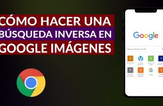 Búsqueda inversa de imágenes