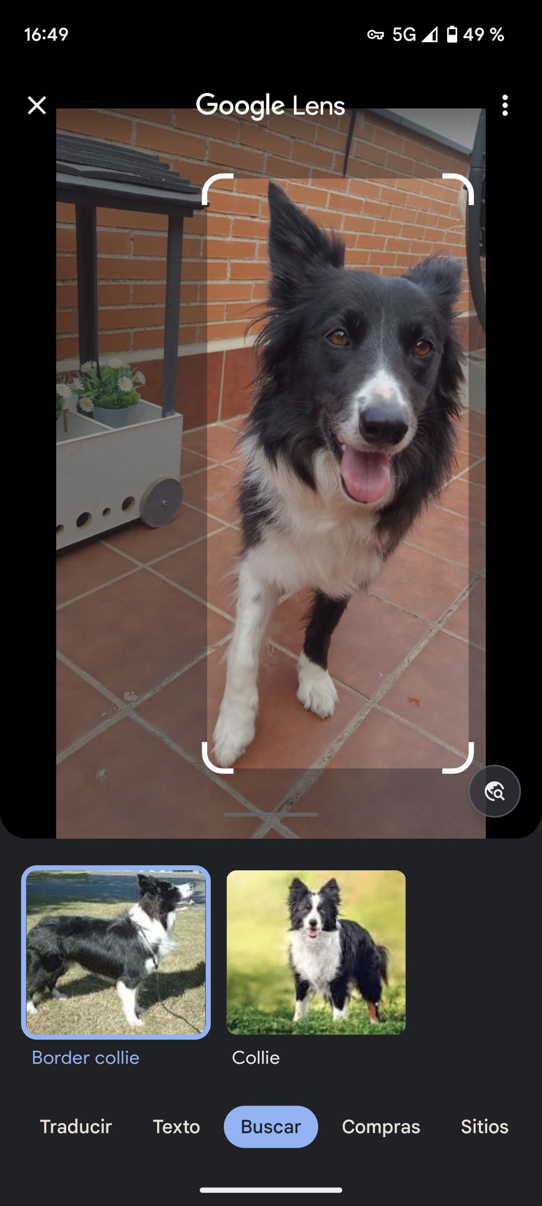 Búsqueda inversa de imágenes con Google Lens